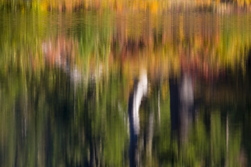 Fall Color Reflected In Picture Lake